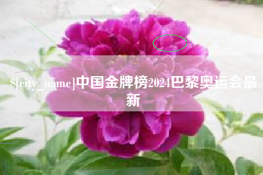 西藏中国金牌榜2024巴黎奥运会最新