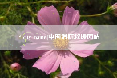 西藏中国消防救援网站