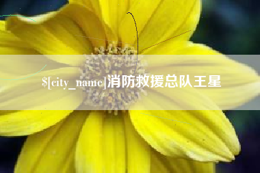 西藏消防救援总队王星