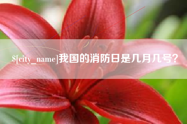 西藏我国的消防日是几月几号？