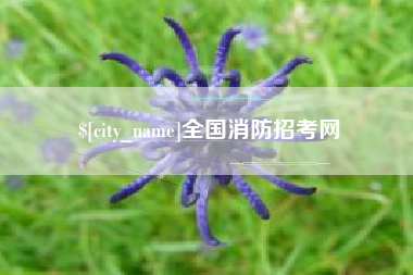 西藏全国消防招考网