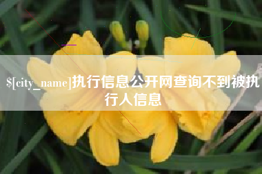 西藏执行信息公开网查询不到被执行人信息
