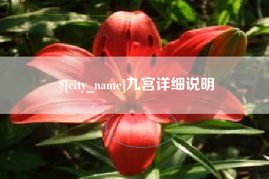 西藏九宫详细说明