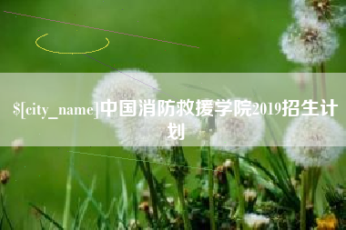 西藏中国消防救援学院2019招生计划