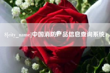 西藏中国消防产品信息查询系统1