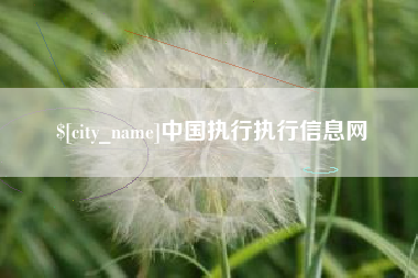 西藏中国执行执行信息网