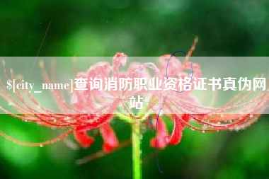 西藏查询消防职业资格证书真伪网站