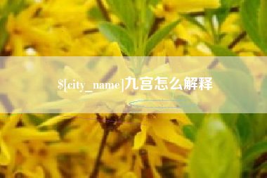 西藏九宫怎么解释