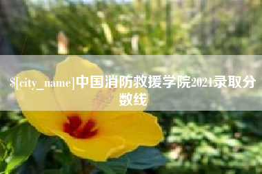西藏中国消防救援学院2021录取分数线