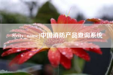 西藏中国消防产品查询系统