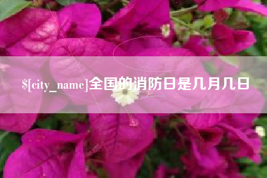 西藏全国的消防日是几月几日