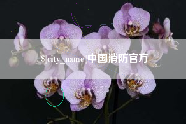 西藏中国消防官方