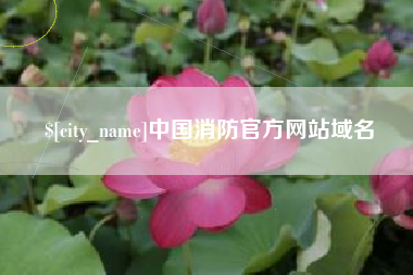 西藏中国消防官方网站域名