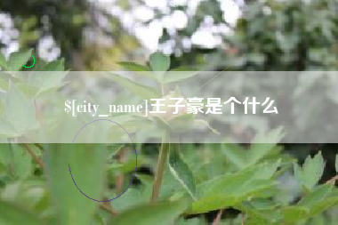 西藏王子豪是个什么