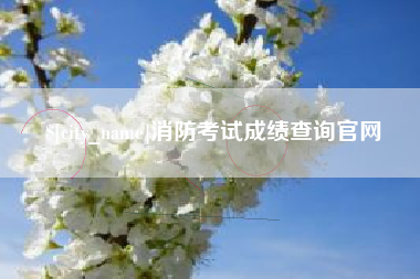西藏消防考试成绩查询官网