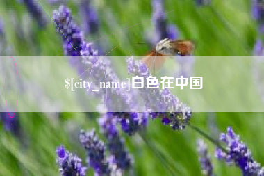 西藏白色在中国