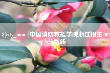 西藏中国消防救援学院浙江招生2020分数线