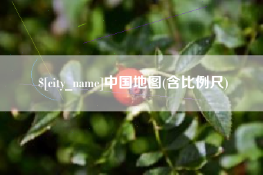 西藏中国地图(含比例尺)