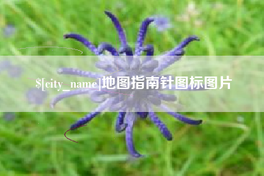 西藏地图指南针图标图片