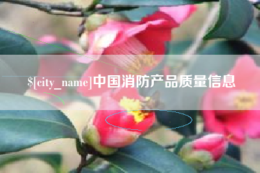 西藏中国消防产品质量信息