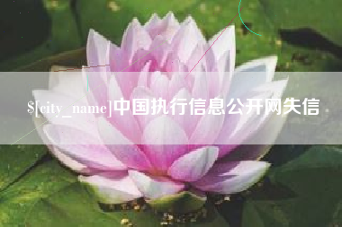 西藏中国执行信息公开网失信