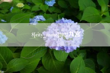 西藏2022九宫