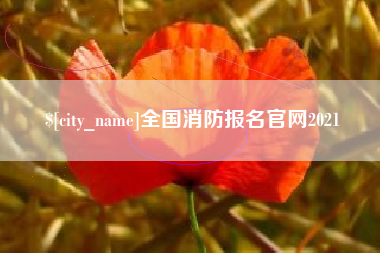 西藏全国消防报名官网2021