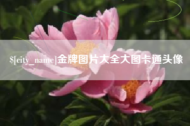 西藏金牌图片大全大图卡通头像