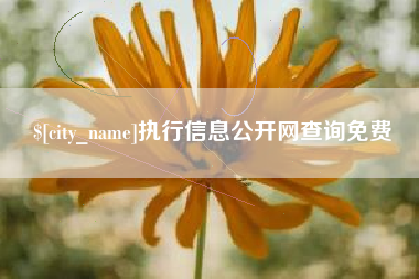 西藏执行信息公开网查询免费