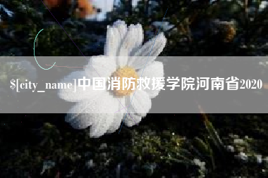 西藏中国消防救援学院河南省2020